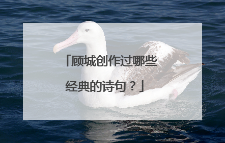 顾城创作过哪些经典的诗句？