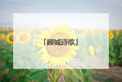 顾城诗歌