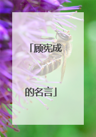 顾宪成的名言