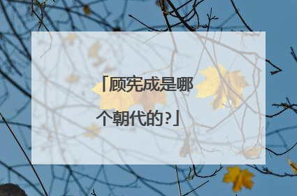 顾宪成是哪个朝代的?