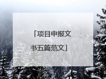 项目申报文书五篇范文