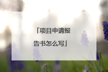 项目申请报告书怎么写