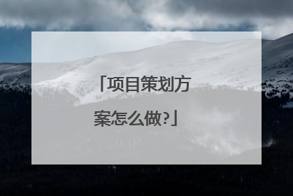 项目策划方案怎么做?