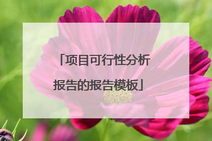 项目可行性分析报告的报告模板