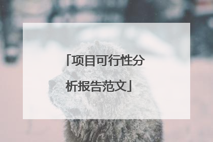 项目可行性分析报告范文