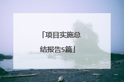 项目实施总结报告5篇