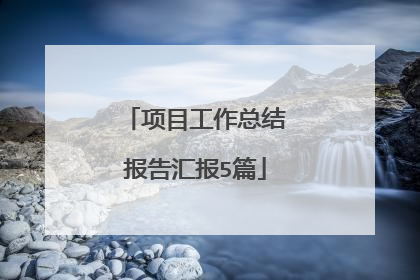 项目工作总结报告汇报5篇