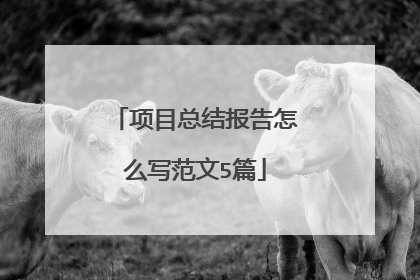 项目总结报告怎么写范文5篇
