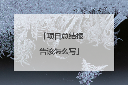 项目总结报告该怎么写
