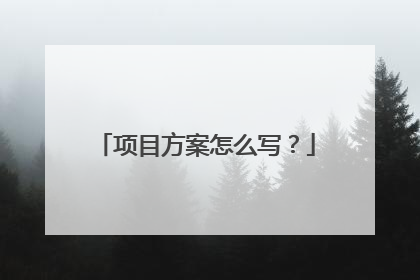 项目方案怎么写?