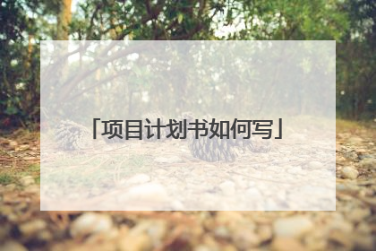 项目计划书如何写