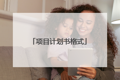 项目计划书格式