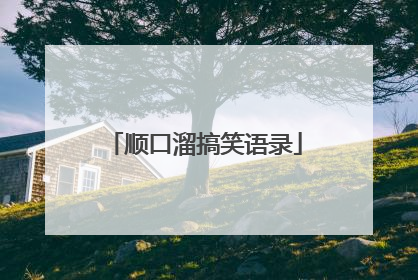 顺口溜搞笑语录