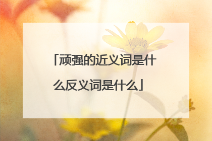 顽强的近义词是什么反义词是什么
