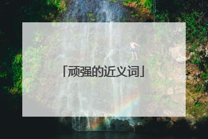 顽强的近义词