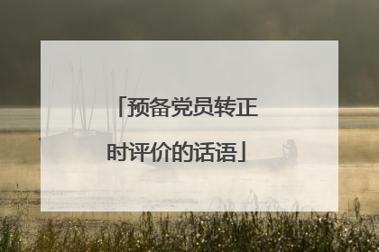 预备党员转正时评价的话语
