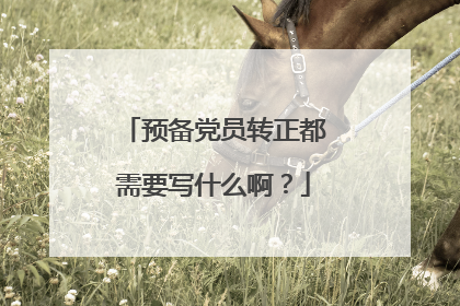 预备党员转正都需要写什么啊?