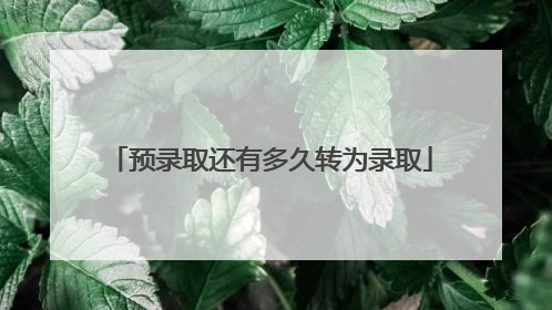 预录取还有多久转为录取