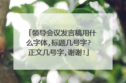 领导会议发言稿用什么字体,标题几号字?正文几号字,谢谢!