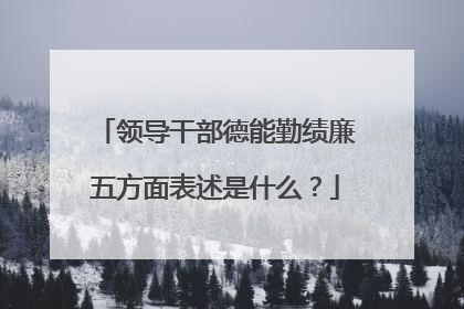 领导干部德能勤绩廉五方面表述是什么？