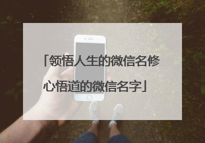 领悟人生的微信名修心悟道的微信名字