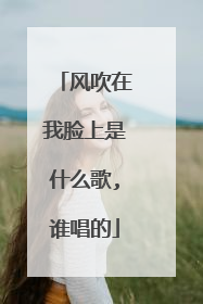 风吹在我脸上是什么歌,谁唱的