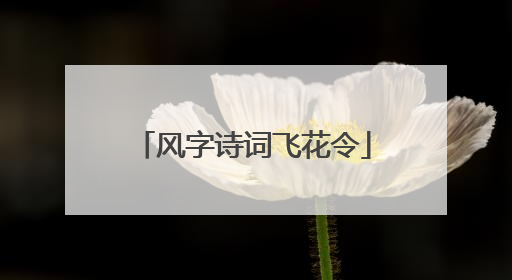 风字诗词飞花令