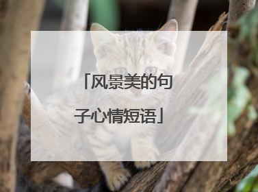 风景美的句子心情短语