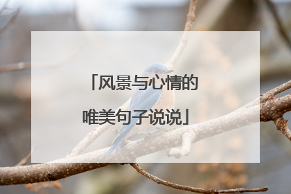风景与心情的唯美句子说说