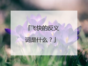 飞快的反义词是什么？