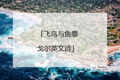 飞鸟与鱼泰戈尔英文诗