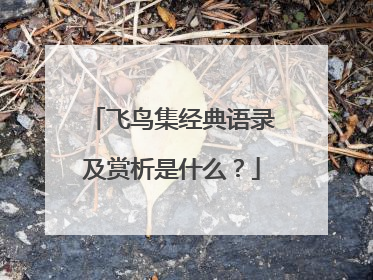 飞鸟集经典语录及赏析是什么？