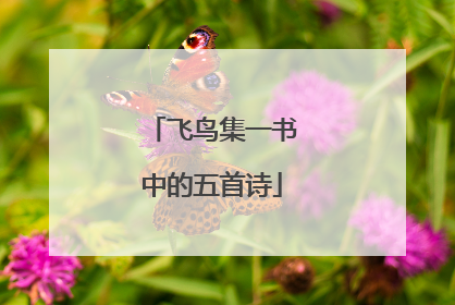 飞鸟集一书中的五首诗