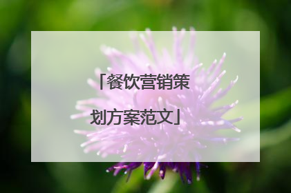 餐饮营销策划方案范文