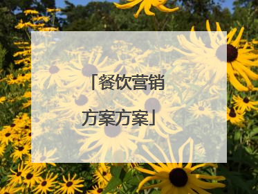 餐饮营销方案方案
