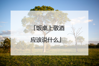 饭桌上敬酒应该说什么