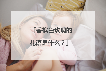 香槟色玫瑰的花语是什么？
