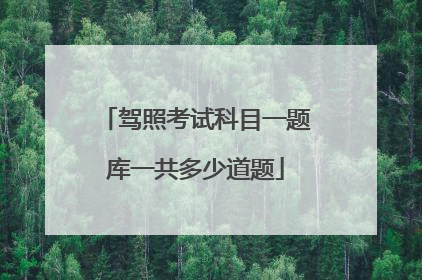 驾照考试科目一题库一共多少道题