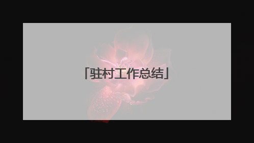 驻村工作总结