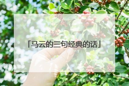 马云的三句经典的话