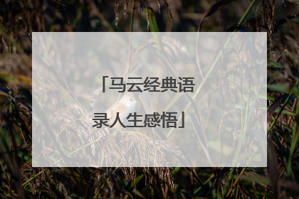 马云经典语录人生感悟