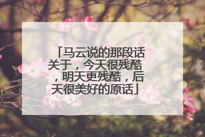 马云说的那段话关于,今天很残酷,明天更残酷,后天很美好的原话