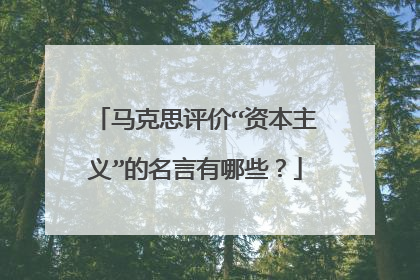 马克思评价“资本主义”的名言有哪些？