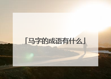 马字的成语有什么