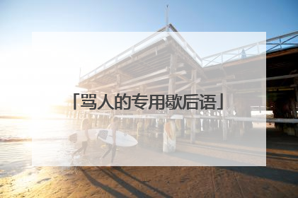 骂人的专用歇后语