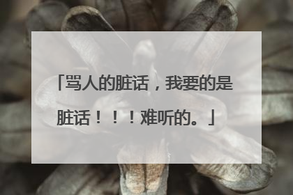 骂人的脏话，我要的是脏话！！！难听的。