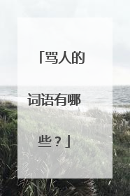 骂人的词语有哪些?
