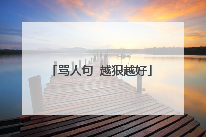 骂人句 越狠越好