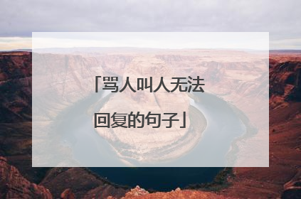 骂人叫人无法回复的句子