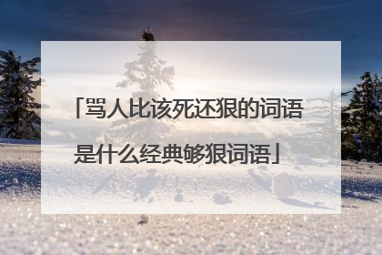 骂人比该死还狠的词语是什么经典够狠词语